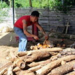 Oaxaca: Ancestral Mezcal Tasting in Ocotlan Valley - Why This Tour Works
