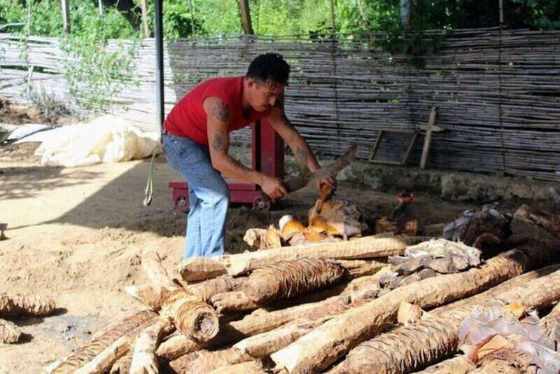 Oaxaca: Ancestral Mezcal Tasting in Ocotlan Valley - Why This Tour Works