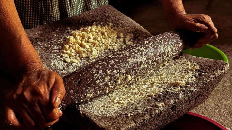 Oaxaca: Authentic Zapotec Cooking: From Market to Table - Why This Tour Is Worth It