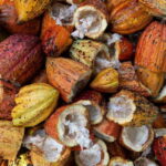 Oaxaca: Chocolate and Ancestral Drinks Tour - Key Points