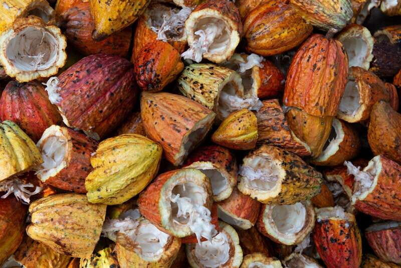 Oaxaca: Chocolate and Ancestral Drinks Tour - Key Points