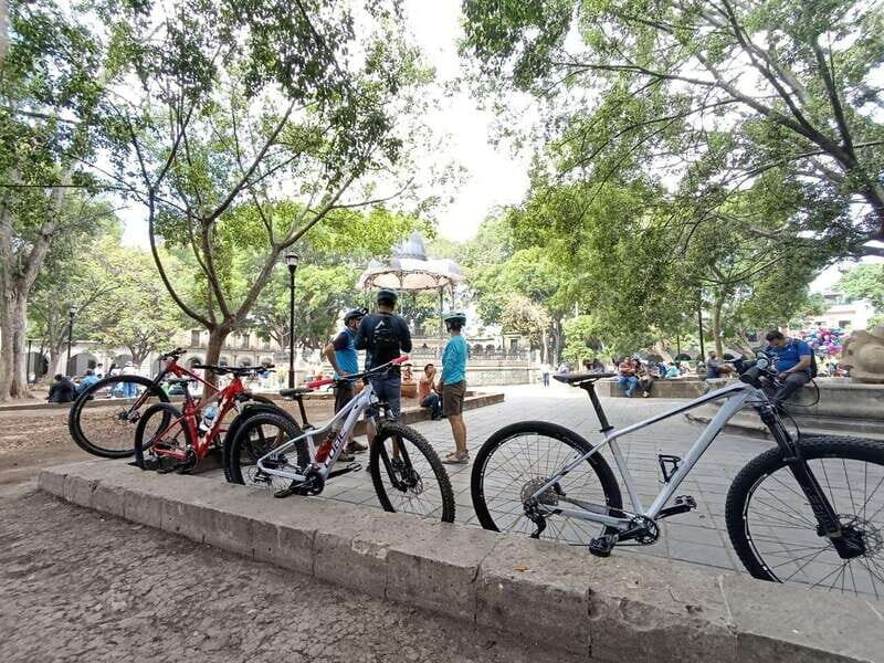 Oaxaca City: Bike Tour with Professional Guide+Art workshop - Practical Details and Value