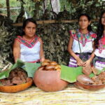 Oaxaca: Crafts & Cuisine Culture Tour - Who Would Love This Tour?