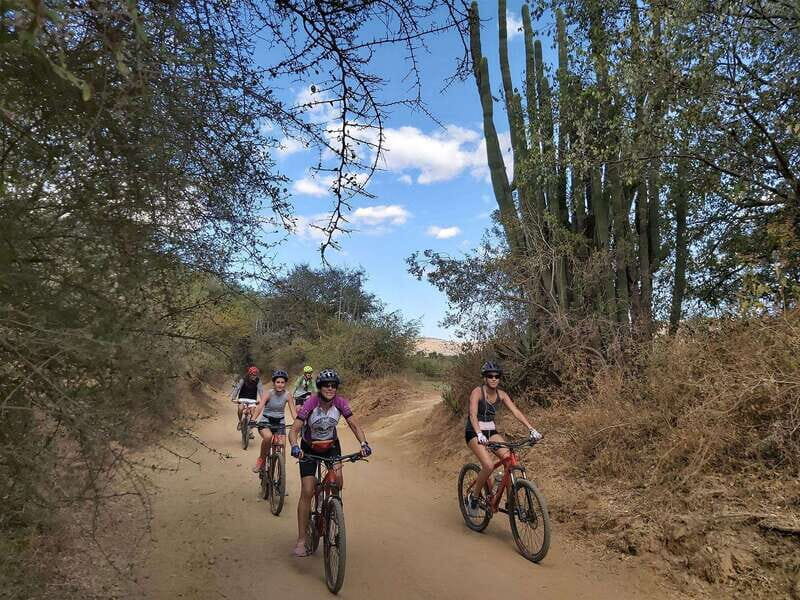 Oaxaca: Ejutla Canyon 1 Day Bike Tour - What’s Included and Why It Matters