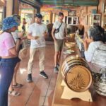 Oaxaca: El Tule, Mitla, and Hierve el Agua Tour with Mezcal - A Complete Breakdown of the Tour