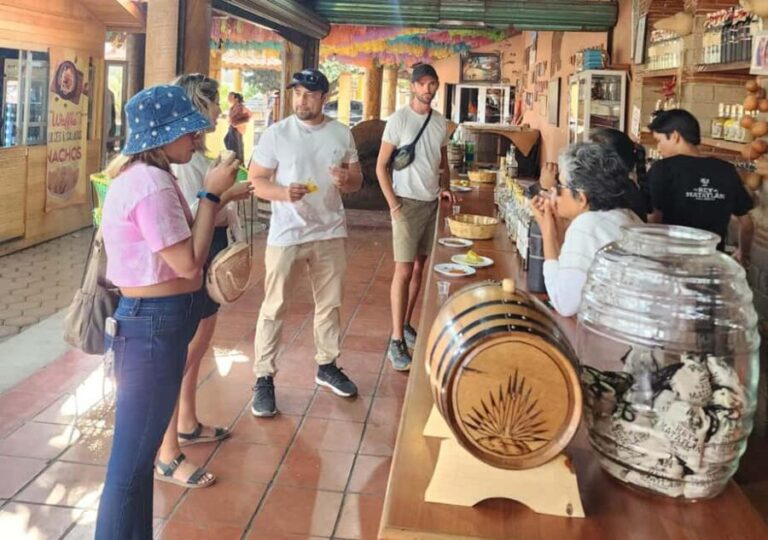 Oaxaca: El Tule, Mitla, and Hierve el Agua Tour with Mezcal - A Complete Breakdown of the Tour