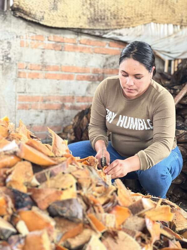 Oaxaca: Empowering Women Private Tour - Detailed Breakdown of the Itinerary