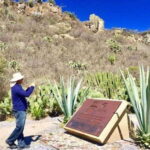 Oaxaca: Exclusive Private Yagul UNESCO Heritage Site Tour - Discovering the Art of Mezcal at a Local Distillery