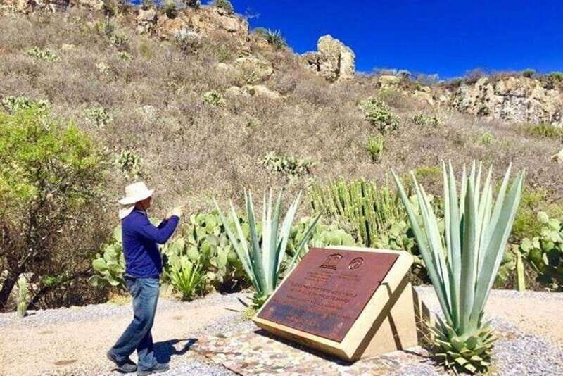 Oaxaca: Exclusive Private Yagul UNESCO Heritage Site Tour - Discovering the Art of Mezcal at a Local Distillery