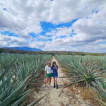 Oaxaca: Hierve el Agua, Mezcal Distillery, and Lunch Tour - Who Will Love This Tour?