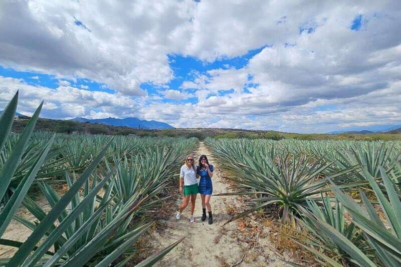 Oaxaca: Hierve el Agua, Mezcal Distillery, and Lunch Tour - Who Will Love This Tour?
