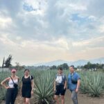 Oaxaca: Hierve el Agua & Mezcal Distillery Small-Group Tour - Authentic Experiences and Authentic Values