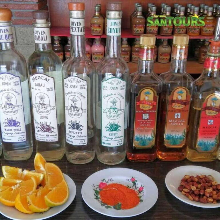 Oaxaca: Hierve el Agua Tour - A Detailed Look at the Oaxaca: Hierve el Agua Tour