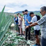 Oaxaca: Mezcal Distillery Tour with Tastings - Visiting the Family-Owned Palenques