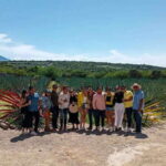 Oaxaca- Mezcal Voices - A Closer Look at Oaxaca- Mezcal Voices