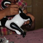 Oaxaca: Ocotlan de Morelos Cultural Experience and Tour - Practical Details and What to Expect