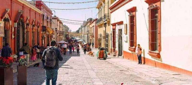Oaxaca: Private City Tour with Local Food Buffet - A Deep Dive into the Oaxaca Private City Tour