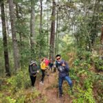 Oaxaca: Sierra Norte Ixtepeji Guided Hike & Lunch, Half-Day - A Closer Look at the Experience
