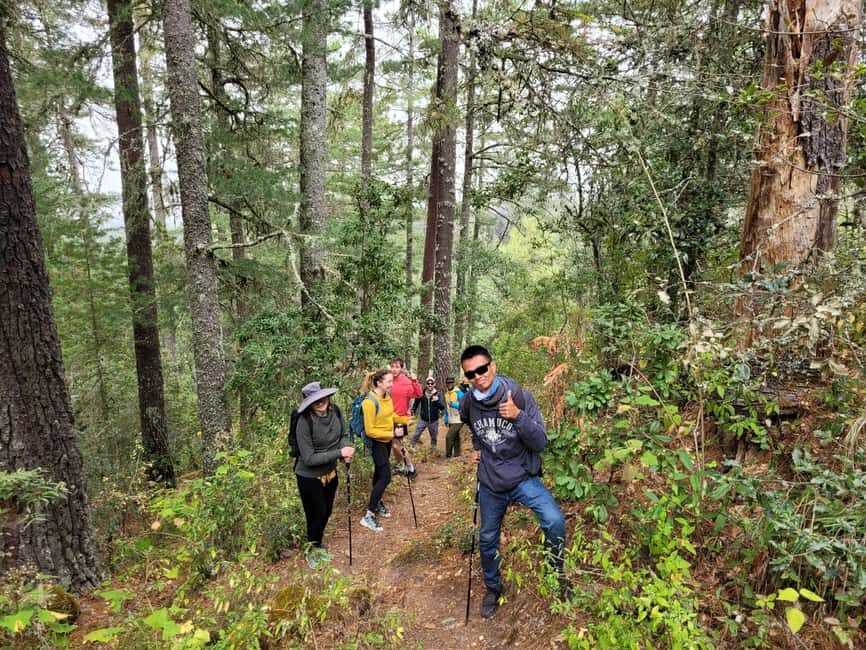 Oaxaca: Sierra Norte Ixtepeji Guided Hike & Lunch, Half-Day - A Closer Look at the Experience