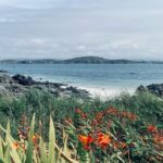 Oban: Isle of Mull and Iona Tour - A Deep Dive into the Oban: Isle of Mull and Iona Tour