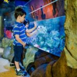 Oberhausen: LEGOLAND Discovery Centre and SEA LIFE Ticket - Key Points