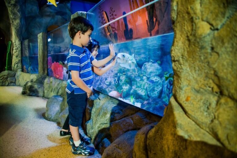 Oberhausen: LEGOLAND Discovery Centre and SEA LIFE Ticket - Key Points