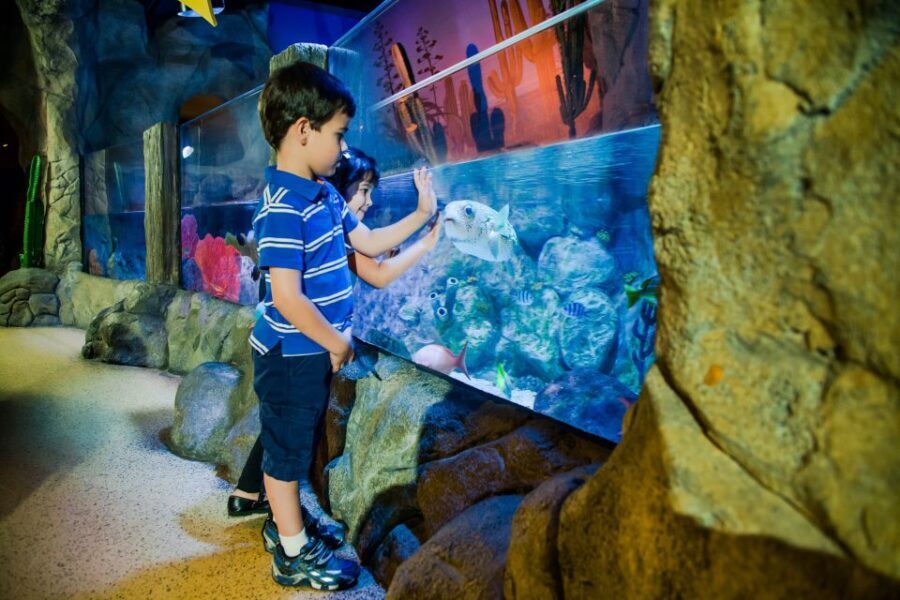 Oberhausen: LEGOLAND Discovery Centre and SEA LIFE Ticket - Key Points