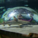 Oberhausen: SEA LIFE Oberhausen Entry Ticket - A Closer Look at What You Can Expect