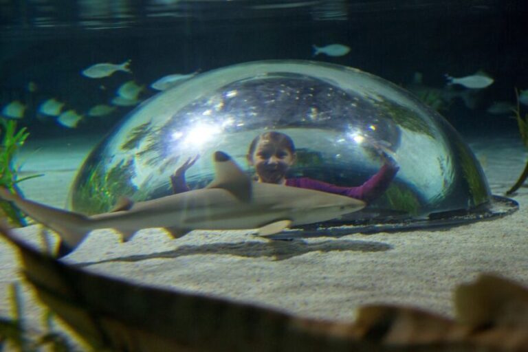 Oberhausen: SEA LIFE Oberhausen Entry Ticket - A Closer Look at What You Can Expect