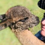 Oberon: Kenzell Farm Tour  A Hands-On Animal Adventure! - Practical Considerations