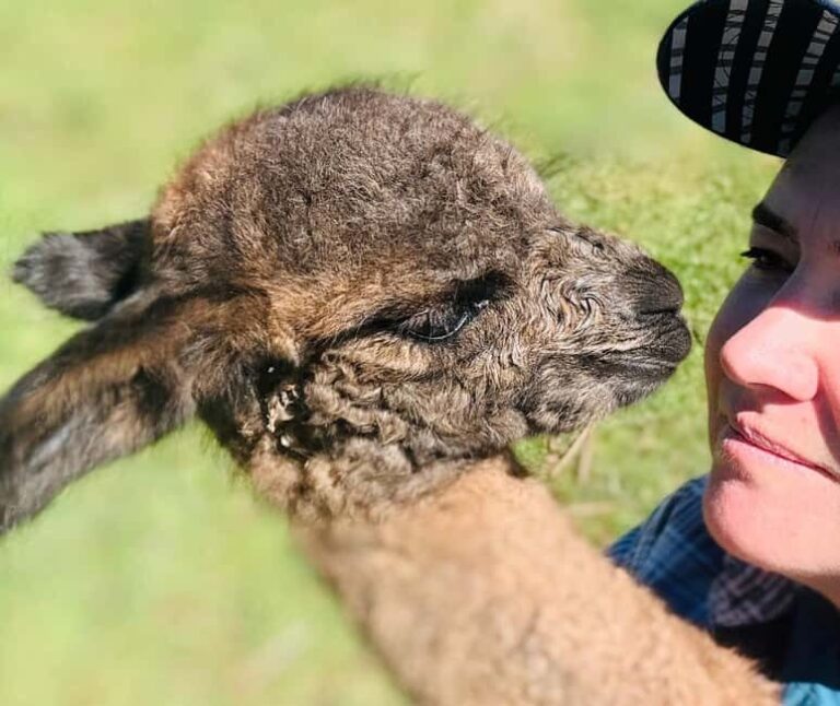 Oberon: Kenzell Farm Tour A Hands-On Animal Adventure! - Practical Considerations