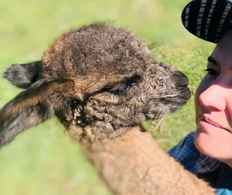 Oberon: Kenzell Farm Tour  A Hands-On Animal Adventure! - Practical Considerations