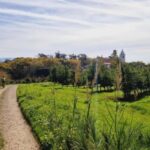 Óbidos: E-Bike Tour to Quinta do Gradil with Wine Tasting - The Route and Stops in Detail