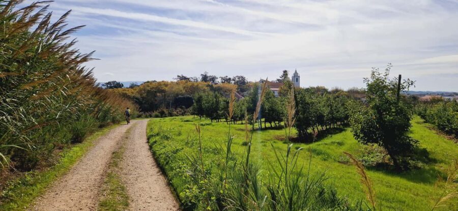 Óbidos: E-Bike Tour to Quinta do Gradil with Wine Tasting - The Route and Stops in Detail