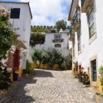 Óbidos, Peniche and Buddha Eden Full Day Private Tour from Lisbon - Who Is This Tour Best For?