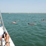 Ocean City, MD: Coastal Speedboat Tour with Dolphin Spotting - Why Its Worth It