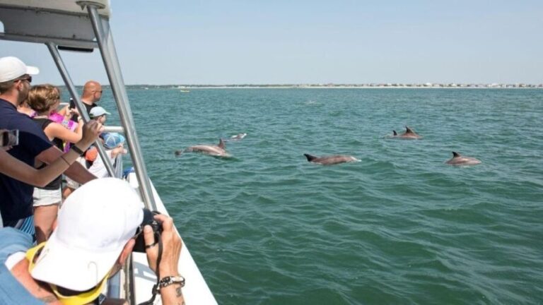 Ocean City, MD: Coastal Speedboat Tour with Dolphin Spotting - Why Its Worth It