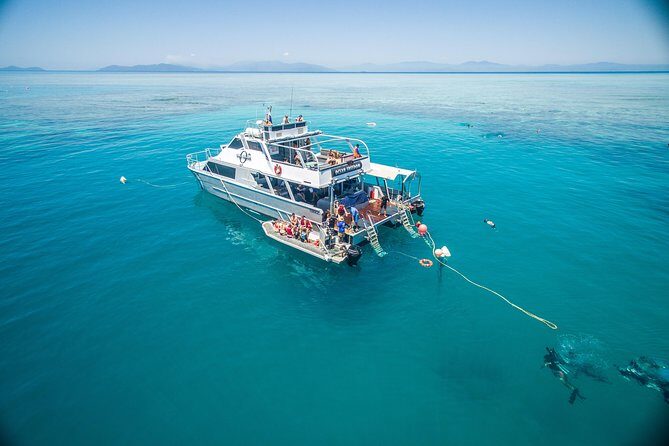 Ocean Freedom Great Barrier Reef Luxury Snorkel and Dive Cruise - Who Will Love This Tour?
