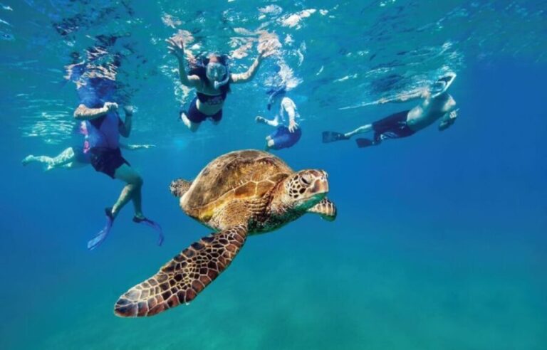 Ocean Reef Snorkeling and Paddleboarding - The Balance of Value and Experience