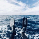 Ocean Safari in San Jose del Cabo - Who Is This Tour Best Suited For?