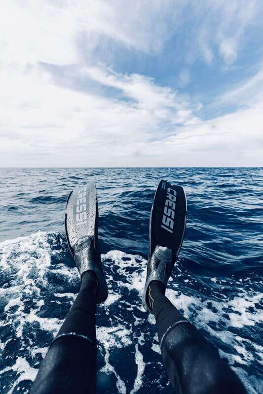 Ocean Safari in San Jose del Cabo - Who Is This Tour Best Suited For?