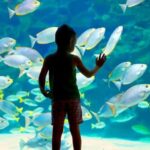 Oceanographic Museum of Monaco Ticket - An In-Depth Look at Your Visit to the Oceanographic Museum