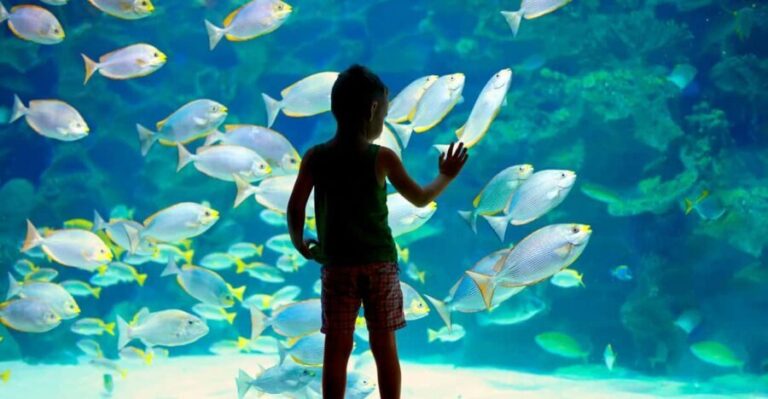 Oceanographic Museum of Monaco Ticket - An In-Depth Look at Your Visit to the Oceanographic Museum
