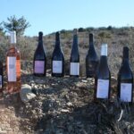 Oenological workshops at La Selve - An In-Depth Review of the Château de la Selve Wine Workshop