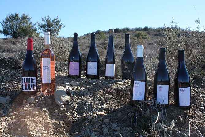 Oenological workshops at La Selve - An In-Depth Review of the Château de la Selve Wine Workshop
