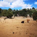 Off-road tour in the Supramonte and visit to Pischina Gurthàddala - Final Thoughts