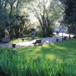 Off the Beaten Track in Lisbon: Lapa Private Tour - In-Depth Review of the Off the Beaten Track Tour