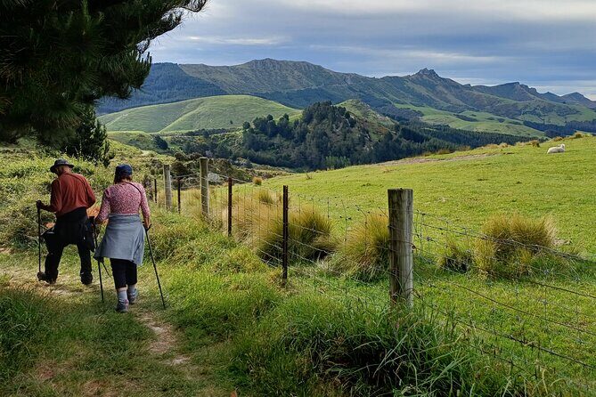 Off The Beaten Track- Packhorse Hut Guided Walk(Small Group Tour) - Authentic Experiences and Practical Details