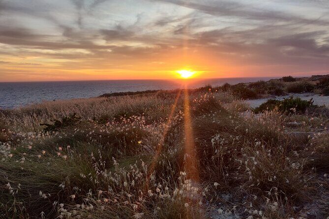 Off-Track Sightseeing to Dingli, Bahrija, Fomm ir-Rih, Rabat & Mdina - The Practical Side: What You Need To Know