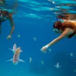 Official Chankanaab Beach Park Day pass with Lunch included - In-Depth Review of the Chankanaab Experience